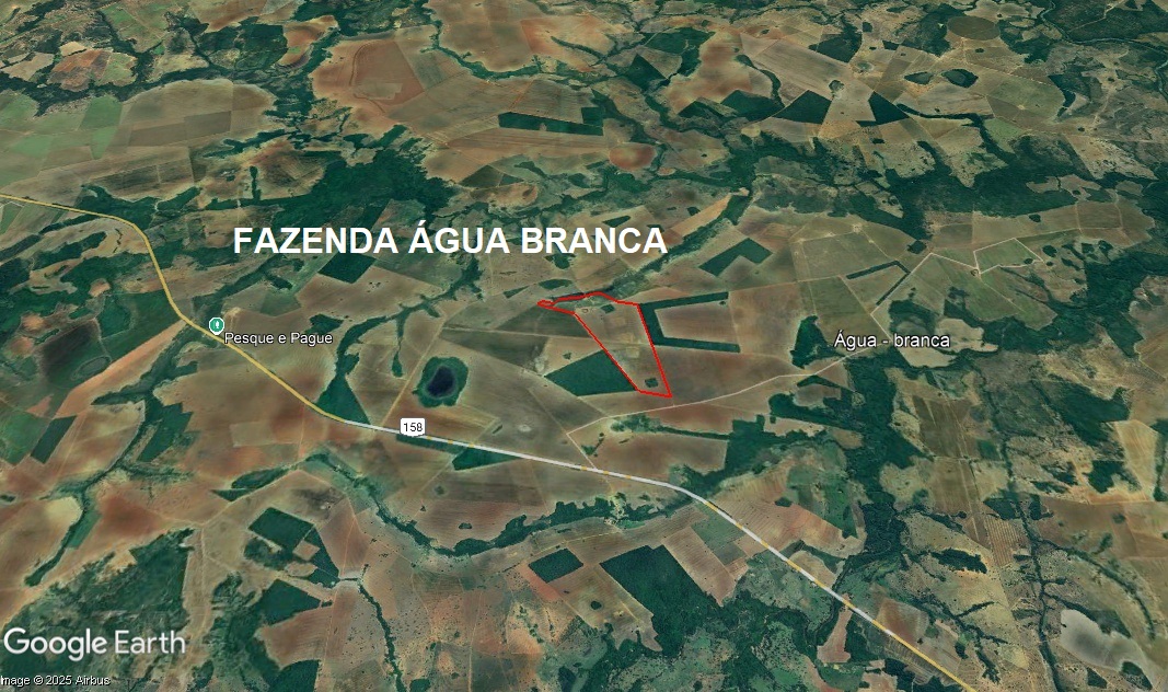 02 (DUAS) FAZENDAS EM BOM JARDIM DE GOIÁS-GO e MONTIVIDIU-GO